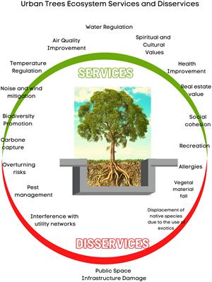 Trees and sidewalks: toward an infrastructure protection approach